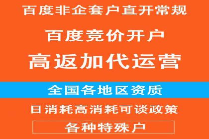 百度竞价代运营公司成功案例分析